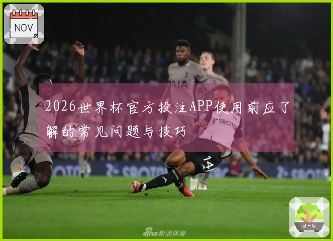 2026世界杯官方投注APP使用前应了解的常见问题与技巧