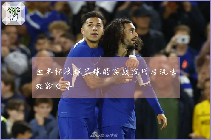 世界杯滚球买球的实战技巧与玩法经验分享