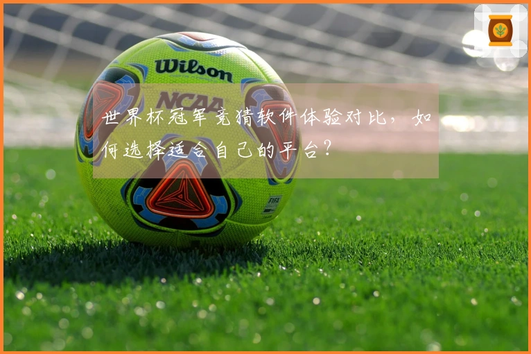 世界杯冠军竞猜软件体验对比，如何选择适合自己的平台？