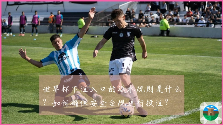 世界杯下注入口的返水规则是什么？如何确保安全合规进行投注？