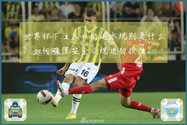 世界杯下注入口的返水规则是什么？如何确保安全合规进行投注？