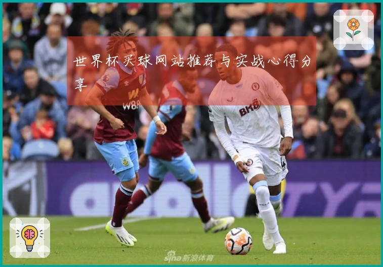 世界杯买球网站推荐与实战心得分享